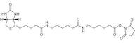 N-Succinimidyl N-[6-(Biotinamido)hexanoyl]-6-aminohexanoate