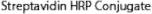 Streptavidin HRP Conjugate