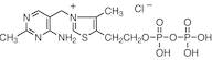 Thiamine Pyrophosphate Chloride
