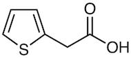 Thiophene-2-acetic Acid