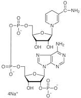 beta-Nicotinamide Adenine Dinucleotide Phosphate Tetrasodium Salt reduced form [for Biochemical Research]