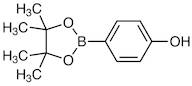 4-(4,4,5,5-Tetramethyl-1,3,2-dioxaborolan-2-yl)phenol