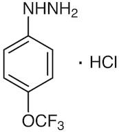 4-(Trifluoromethoxy)phenylhydrazine Hydrochloride