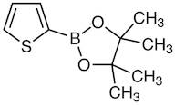 2-(4,4,5,5-Tetramethyl-1,3,2-dioxaborolan-2-yl)thiophene