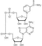 Thionicotinamide Adenine Dinucleotide oxidized form [for Biochemical Research]