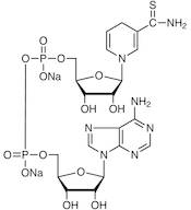 Thionicotinamide Adenine Dinucleotide Disodium Salt reduced form [for Biochemical Research]