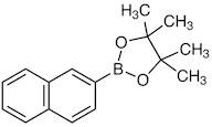 4,4,5,5-Tetramethyl-2-(2-naphthyl)-1,3,2-dioxaborolane
