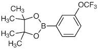4,4,5,5-Tetramethyl-2-[3-(trifluoromethoxy)phenyl]-1,3,2-dioxaborolane