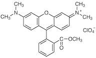 Tetramethylrhodamine Methyl Ester Perchlorate