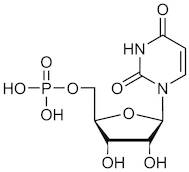 Uridine 5'-Monophosphate