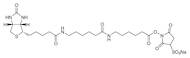 Sulfo-NHS-LC-LC-Biotin