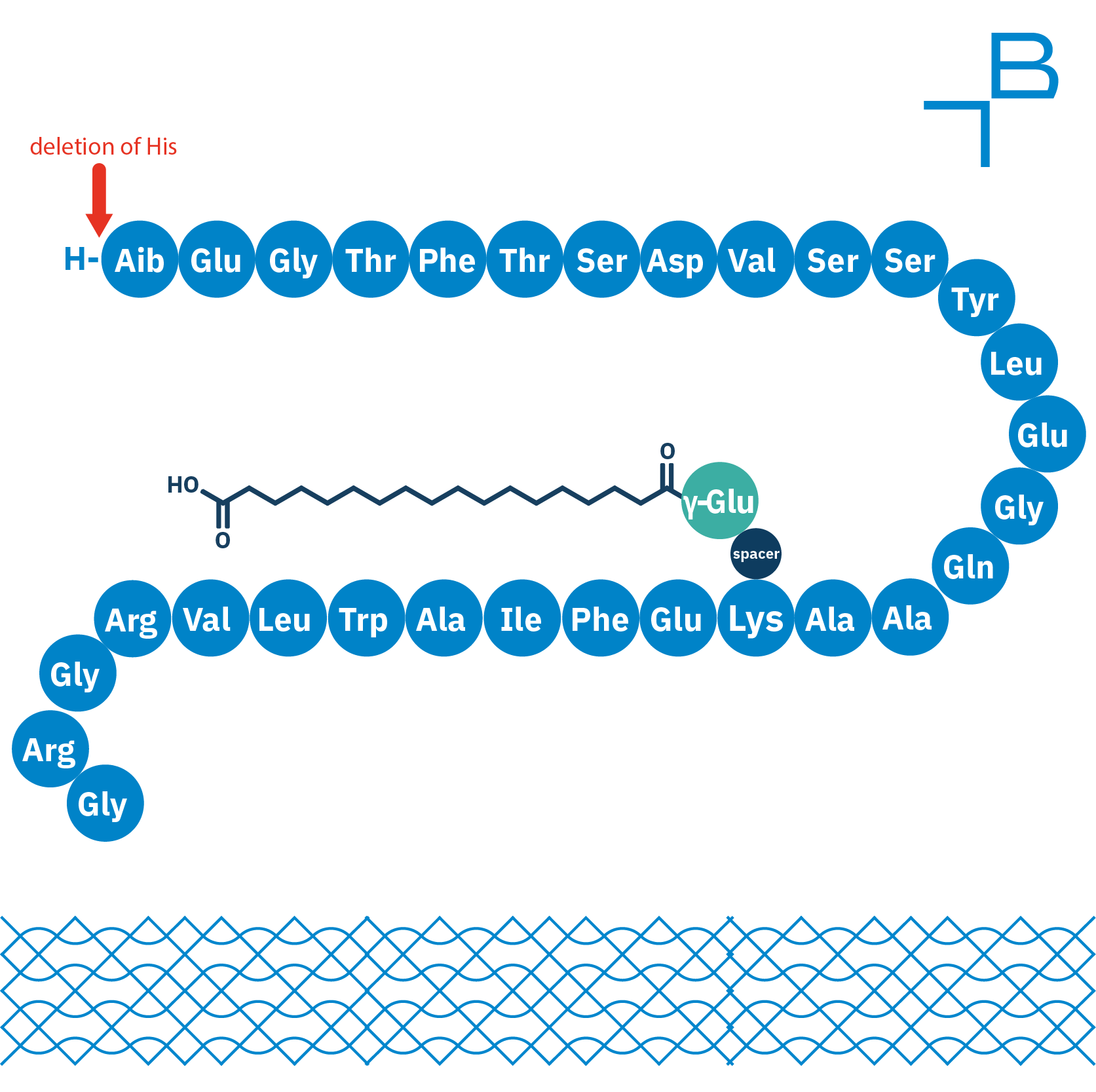 how many amino acids in semaglutide Des-His(1)-Semaglutide