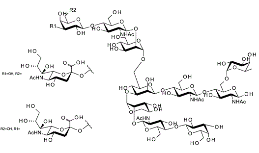 A1F Glycan, 2-AB labelled 3D-OA58586 | Cymit Química S.L.