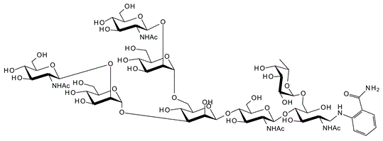 NGA2F Glycan, 2-AB labelled 3D-ON58605 | Cymit Química S.L.