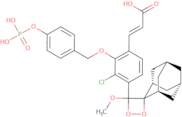 AquaSpark® Broad Range Phosphatase Substrate, 2 mM in DMSO, Ramot at Tel-Aviv University Ltd. Pate…