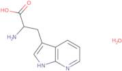 DL-7-Azatryptophan monohydrate