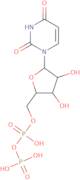 Uridine 5’-diphosphate-13C,15N2