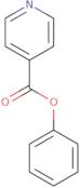 Phenyl Isonicotinate