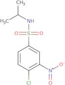 4-Chloro-3-nitro-N-(propan-2-yl)benzene-1-sulfonamide
