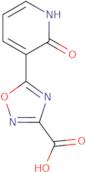 Sodium iodohippurate