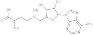 S-Adenosyl-methionine labelled-15N5