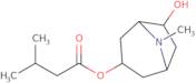 Valeroidine