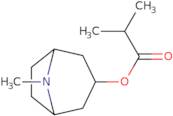 Tropine isobutyrate