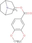 Convolamine [(1R,5S)-8-methyl-8-azabicyclo[3,2,1]octan-3-yl]3,4-dimethoxybenzoate