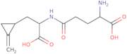 Hypoglycine B