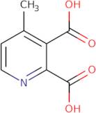 4-Methylpyridine-2,3-dicarboxylic acid