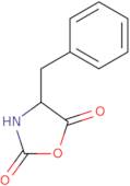 4-Benzyloxazolidine-2,5-dione