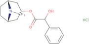 Homatropine Hydrochloride
