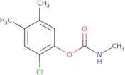 2-Chloro-4,5-dimethylphenyl methylcarbamate
