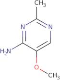 5-Methoxy-2-methylpyrimidin-4-amine