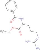 Benzoyl-L-arginine ethyl ester