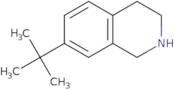 7-tert-Butyl-1,2,3,4-tetrahydroisoquinoline