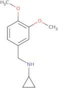 N-[(3,4-Dimethoxyphenyl)methyl]cyclopropanamine