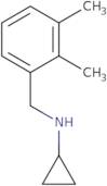 N-[(2,3-Dimethylphenyl)methyl]cyclopropanamine