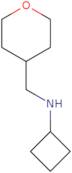 N-[(Oxan-4-yl)methyl]cyclobutanamine