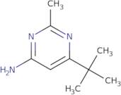 6-tert-Butyl-2-methyl-pyrimidin-4-ylamine