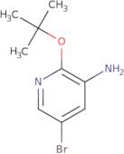 5-Bromo-2-(tert-butoxy)pyridin-3-amine