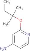 2-[(2-Methylbutan-2-yl)oxy]pyridin-4-amine