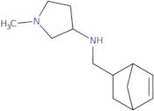 N-(2-Bicyclo[2.2.1]hept-5-enylmethyl)-1-methylpyrrolidin-3-amine