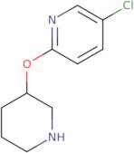 5-Chloro-2-(piperidin-3-yloxy)pyridine