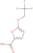 5-(2,2,2-Trifluoroethoxy)furan-2-carboxylic acid