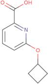 6-Cyclobutoxypyridine-2-carboxylic acid