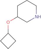 3-Cyclobutoxypiperidine