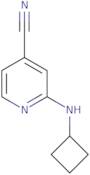 2-(Cyclobutylamino)isonicotinonitrile