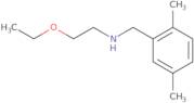 [(2,5-Dimethylphenyl)methyl](2-ethoxyethyl)amine