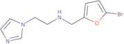 [(5-Bromofuran-2-yl)methyl][2-(1H-imidazol-1-yl)ethyl]amine